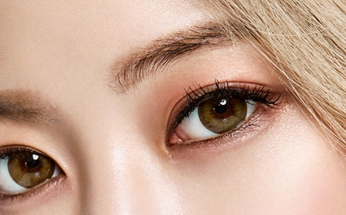 購買隱形眼鏡與選擇美瞳廠家的全面指南